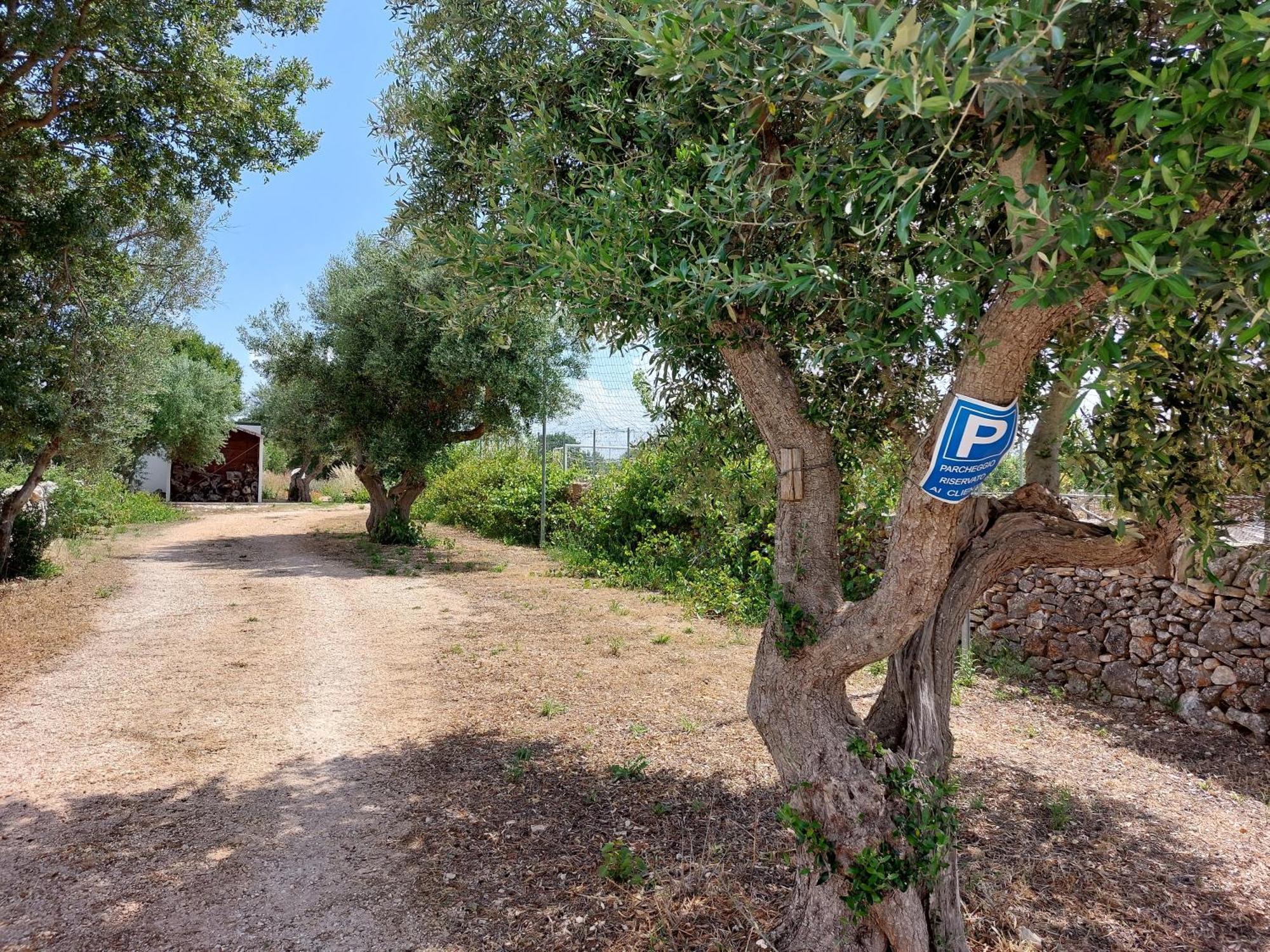 Trulli Don Diego Bed and Breakfast Noci Esterno foto