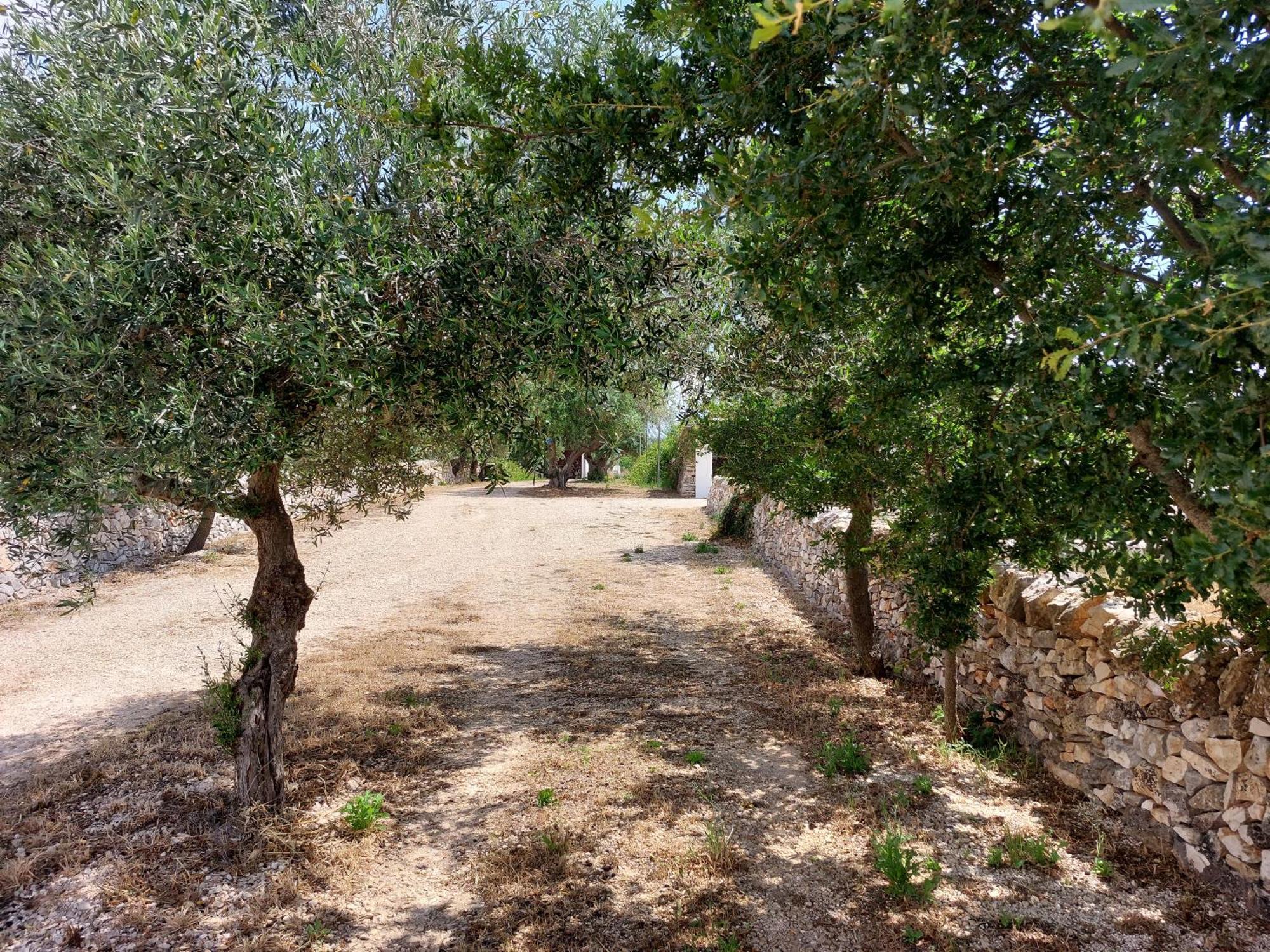 Trulli Don Diego Bed and Breakfast Noci Esterno foto
