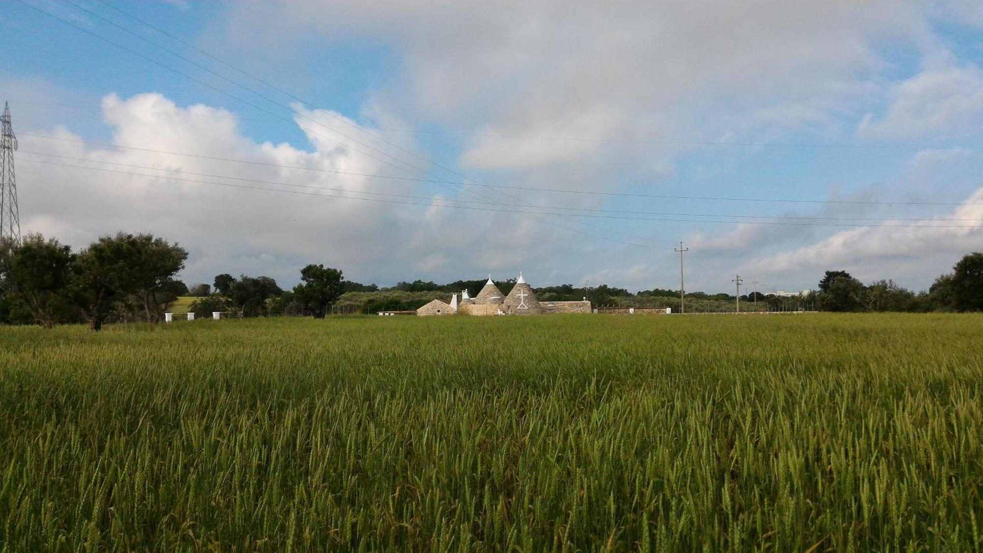 Trulli Don Diego Bed and Breakfast Noci Esterno foto