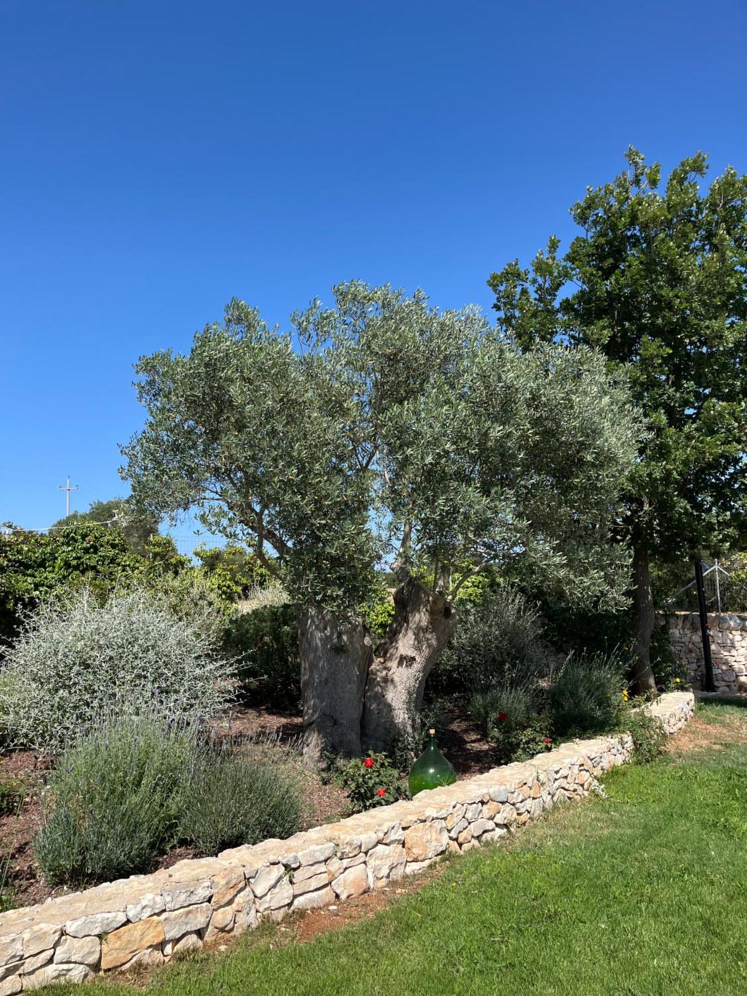 Trulli Don Diego Bed and Breakfast Noci Esterno foto