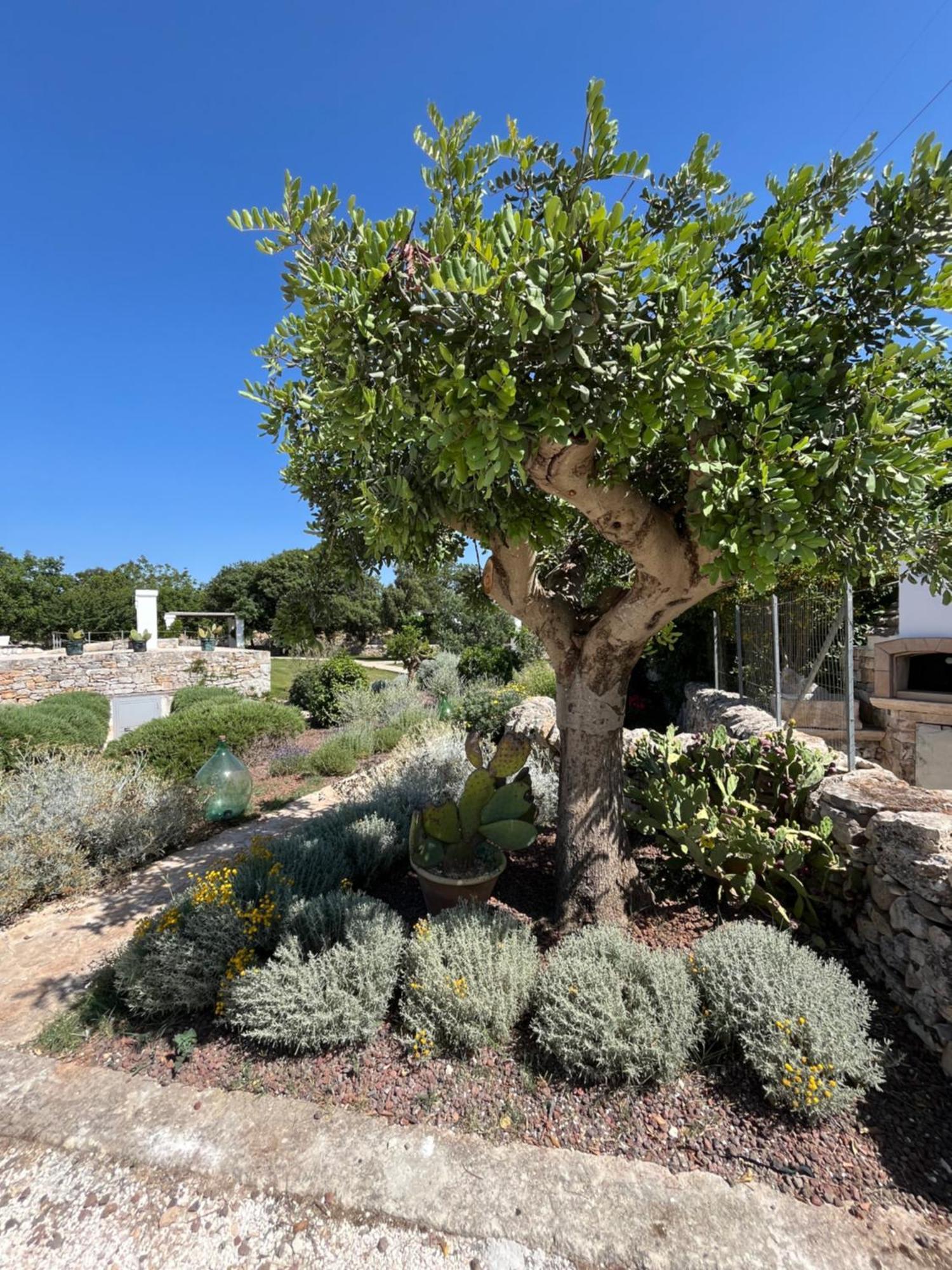 Trulli Don Diego Bed and Breakfast Noci Esterno foto