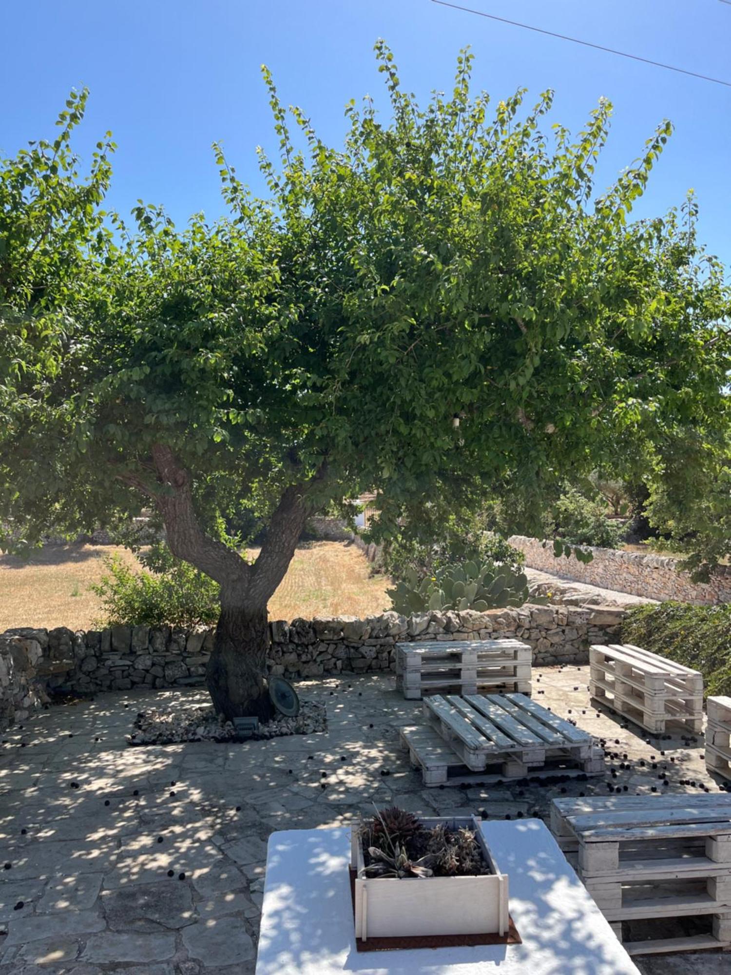 Trulli Don Diego Bed and Breakfast Noci Esterno foto